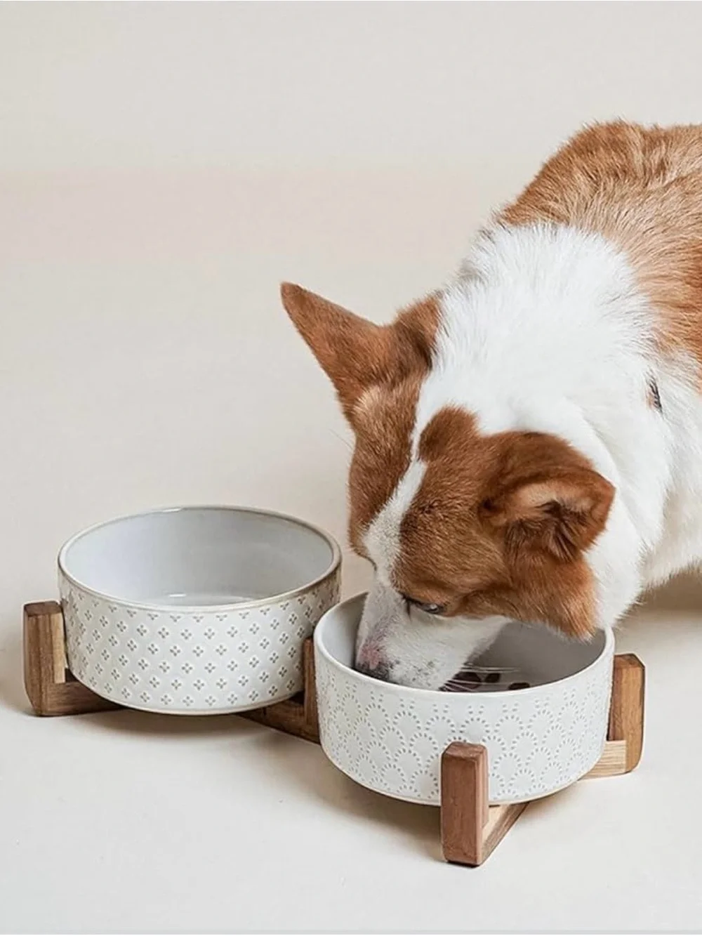 🐶🥣  LE TAUCI Ceramic Elevated Dog Bowl Set with Acacia Wood Stand